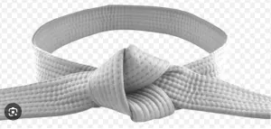 Meaning of a white belt in karate