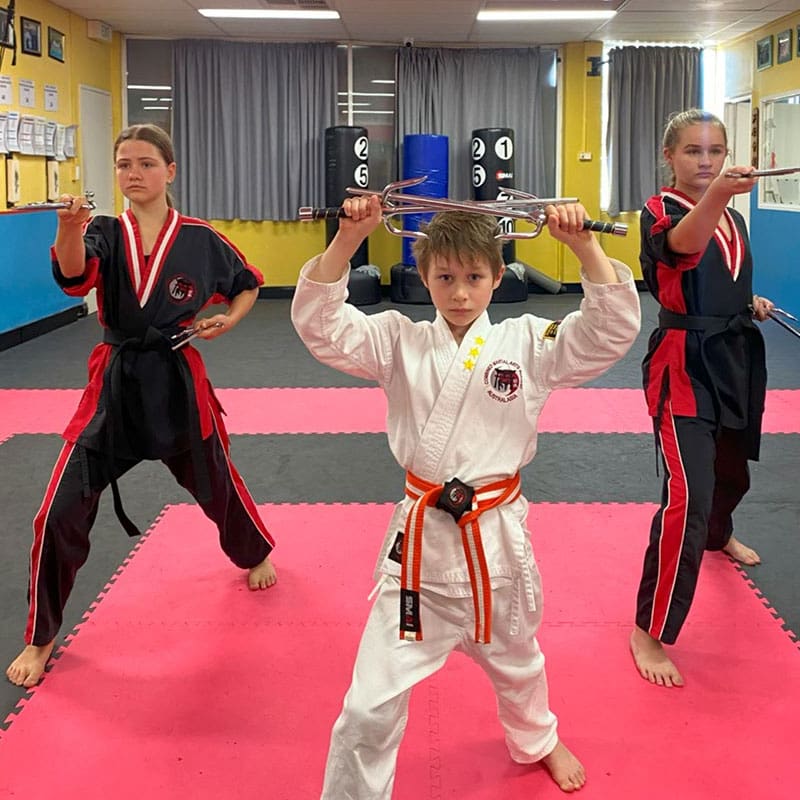 Martial Arts School Near Me in Nerang | Combined Martial Arts